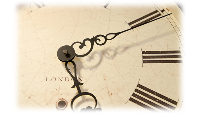 毛周期タイミング