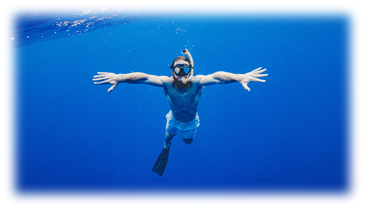 海中のダイバー